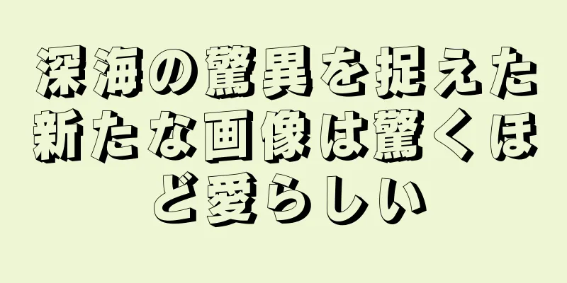 深海の驚異を捉えた新たな画像は驚くほど愛らしい