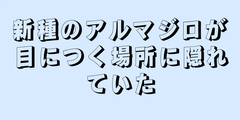 新種のアルマジロが目につく場所に隠れていた