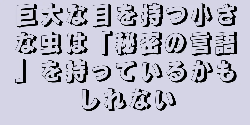 巨大な目を持つ小さな虫は「秘密の言語」を持っているかもしれない