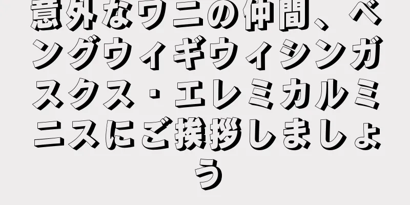意外なワニの仲間、ベングウィギウィシンガスクス・エレミカルミニスにご挨拶しましょう