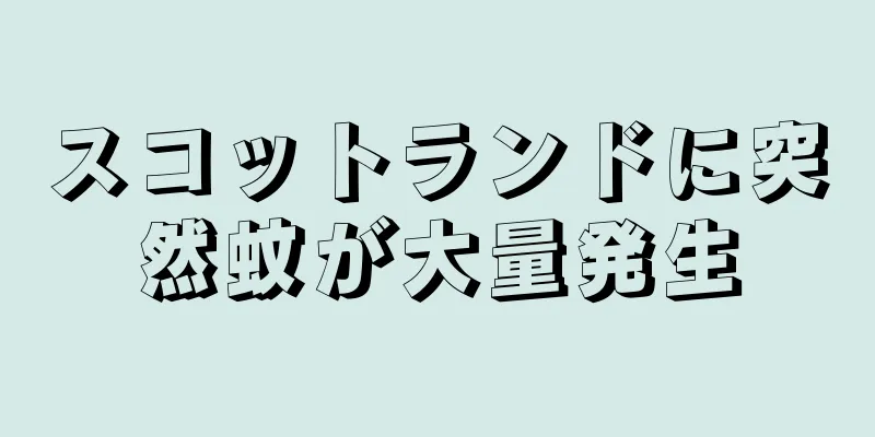 スコットランドに突然蚊が大量発生