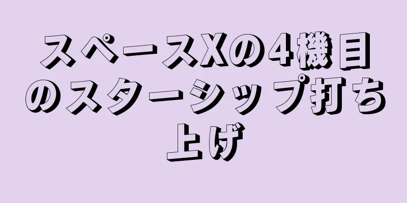 スペースXの4機目のスターシップ打ち上げ