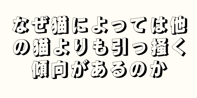 なぜ猫によっては他の猫よりも引っ掻く傾向があるのか