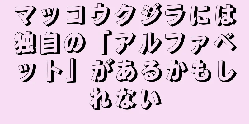 マッコウクジラには独自の「アルファベット」があるかもしれない