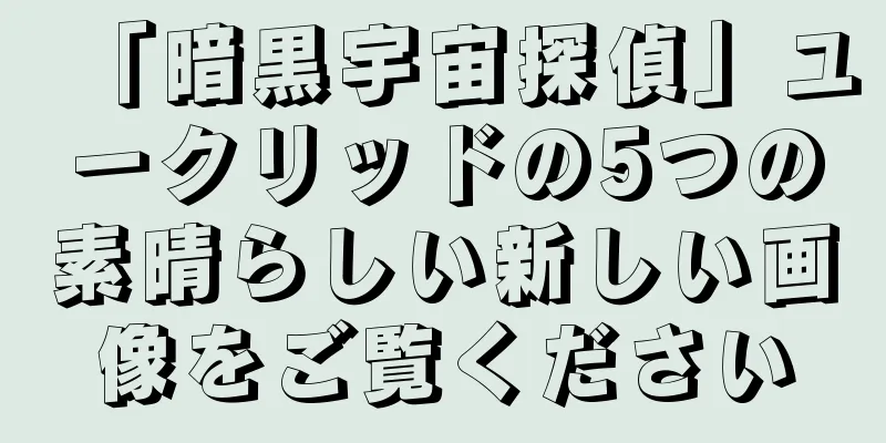 「暗黒宇宙探偵」ユークリッドの5つの素晴らしい新しい画像をご覧ください