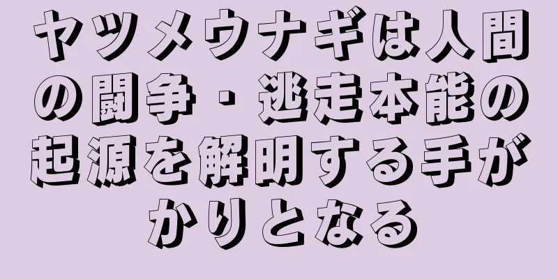 ヤツメウナギは人間の闘争・逃走本能の起源を解明する手がかりとなる