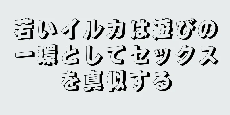 若いイルカは遊びの一環としてセックスを真似する