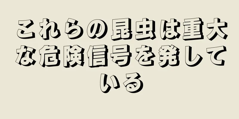 これらの昆虫は重大な危険信号を発している