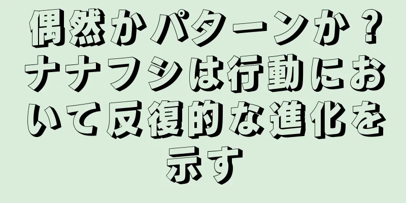 偶然かパターンか？ナナフシは行動において反復的な進化を示す