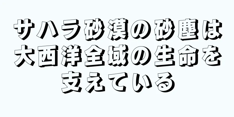 サハラ砂漠の砂塵は大西洋全域の生命を支えている