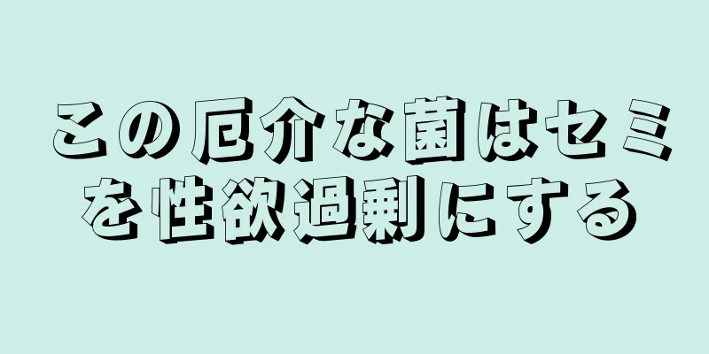 この厄介な菌はセミを性欲過剰にする