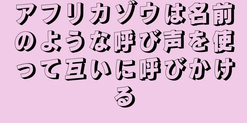 アフリカゾウは名前のような呼び声を使って互いに呼びかける