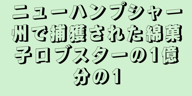 ニューハンプシャー州で捕獲された綿菓子ロブスターの1億分の1