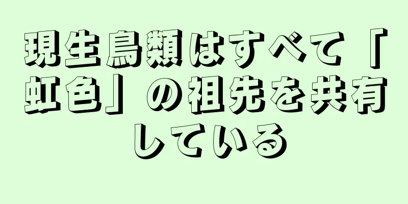 現生鳥類はすべて「虹色」の祖先を共有している