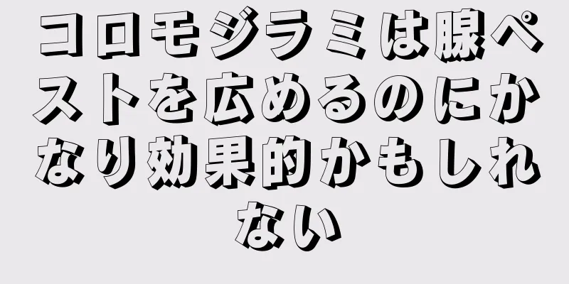 コロモジラミは腺ペストを広めるのにかなり効果的かもしれない
