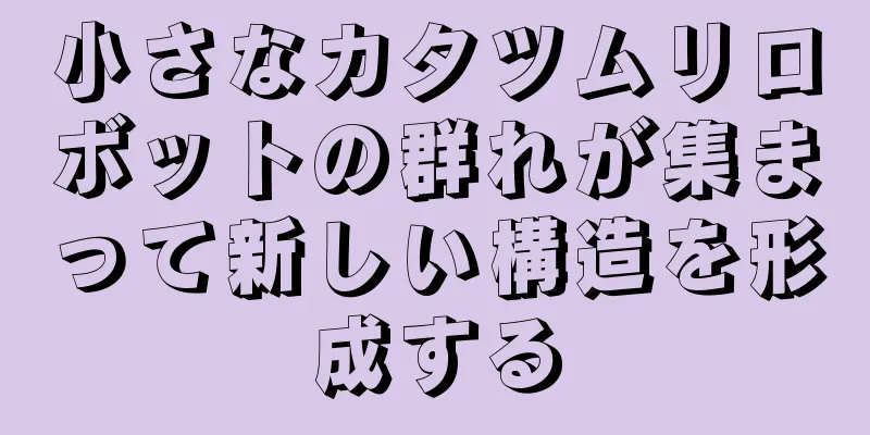 小さなカタツムリロボットの群れが集まって新しい構造を形成する