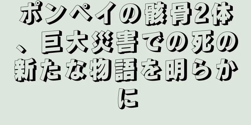 ポンペイの骸骨2体、巨大災害での死の新たな物語を明らかに