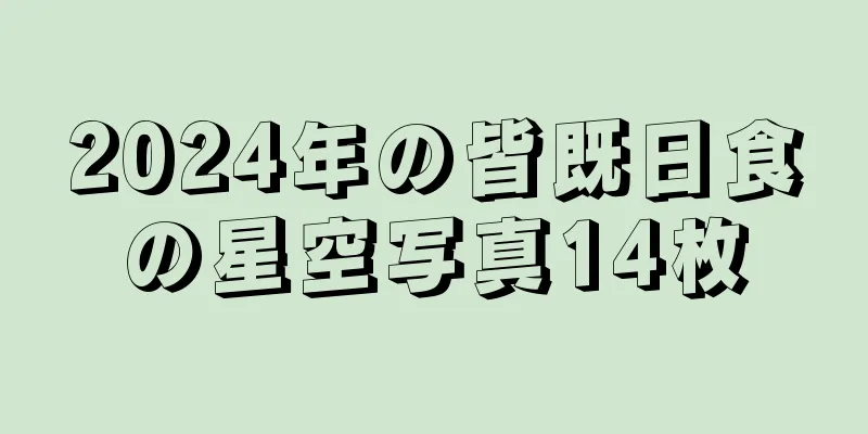 2024年の皆既日食の星空写真14枚