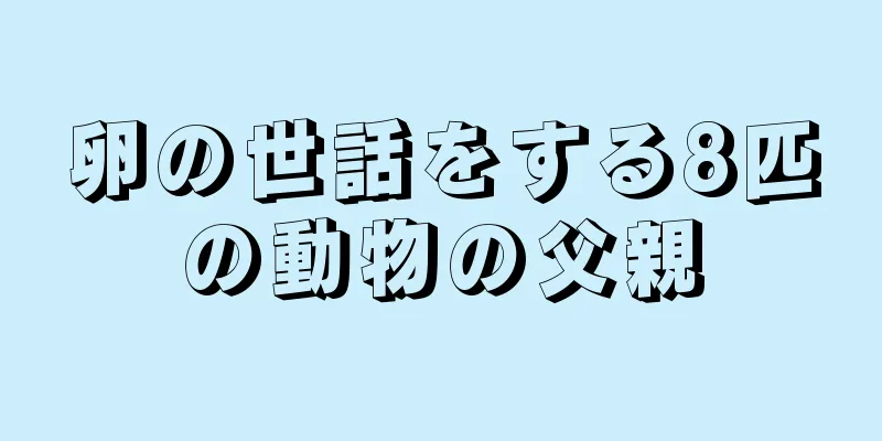 卵の世話をする8匹の動物の父親