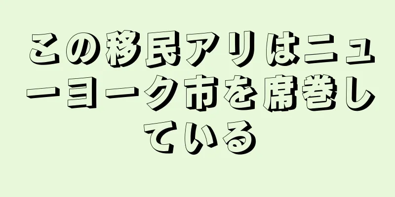 この移民アリはニューヨーク市を席巻している