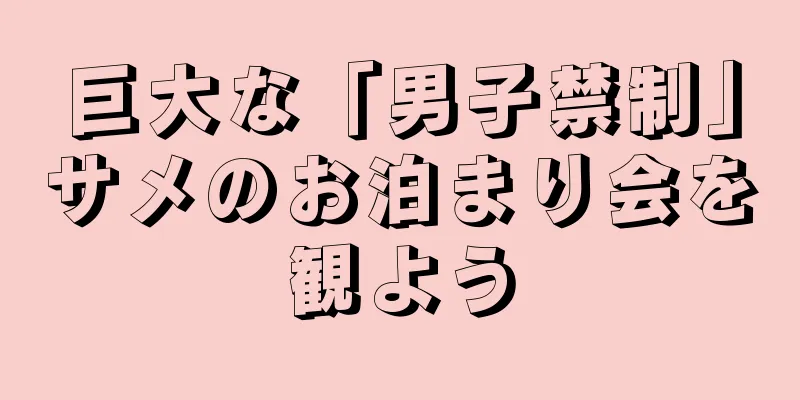 巨大な「男子禁制」サメのお泊まり会を観よう
