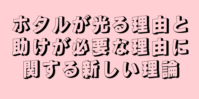 ホタルが光る理由と助けが必要な理由に関する新しい理論