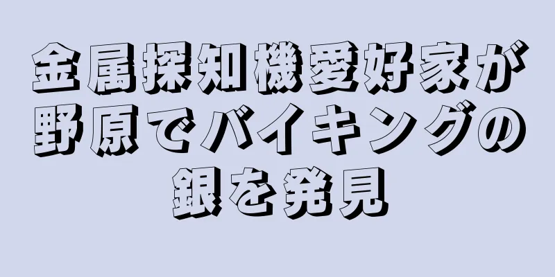 金属探知機愛好家が野原でバイキングの銀を発見