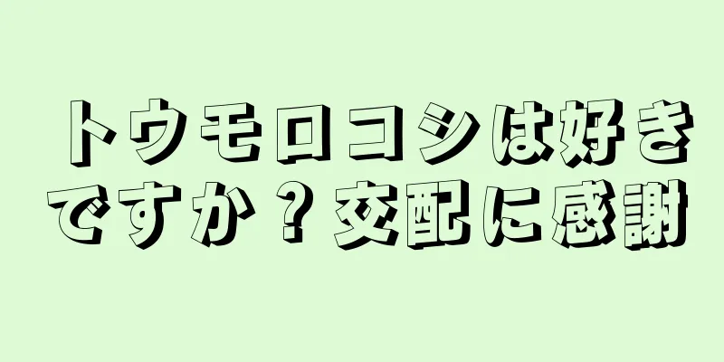 トウモロコシは好きですか？交配に感謝