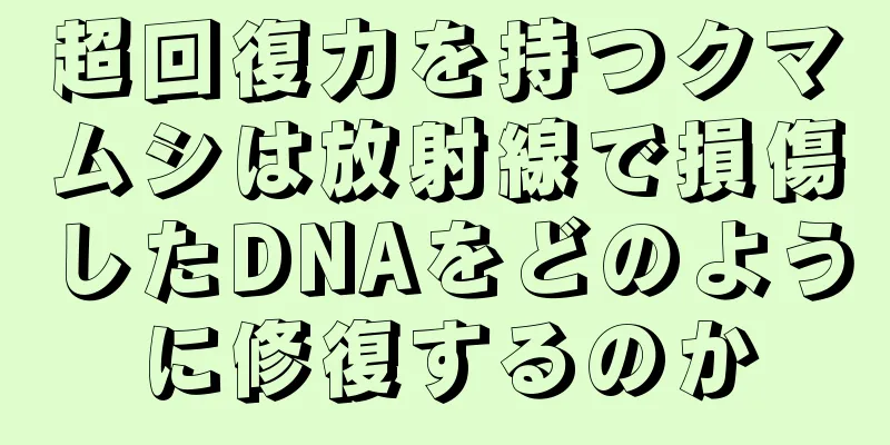 超回復力を持つクマムシは放射線で損傷したDNAをどのように修復するのか