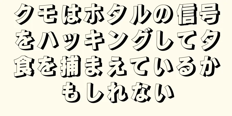 クモはホタルの信号をハッキングして夕食を捕まえているかもしれない