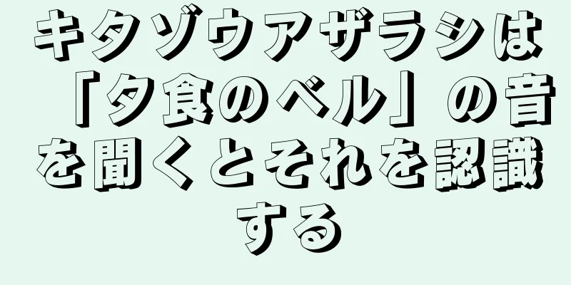 キタゾウアザラシは「夕食のベル」の音を聞くとそれを認識する