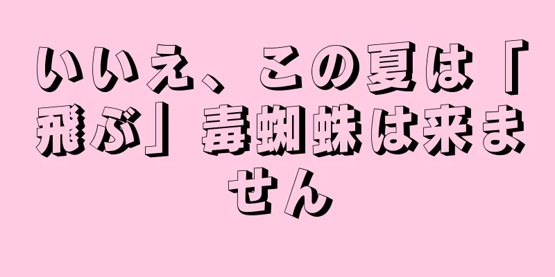 いいえ、この夏は「飛ぶ」毒蜘蛛は来ません