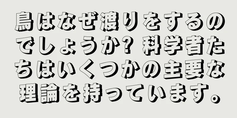 鳥はなぜ渡りをするのでしょうか? 科学者たちはいくつかの主要な理論を持っています。