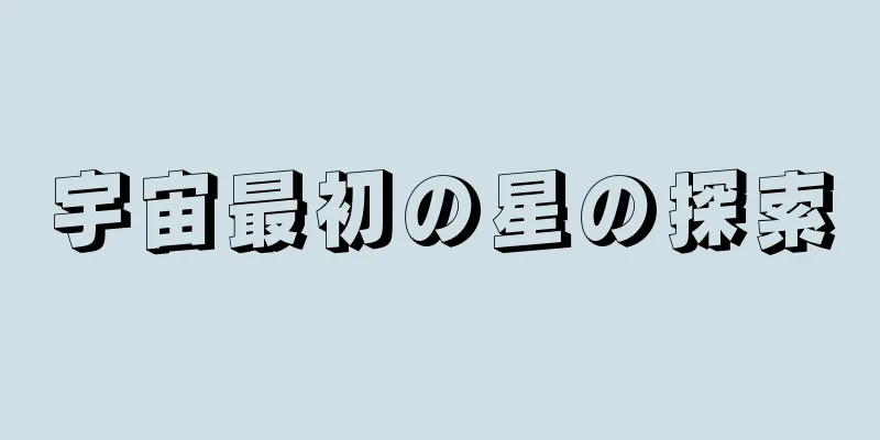 宇宙最初の星の探索