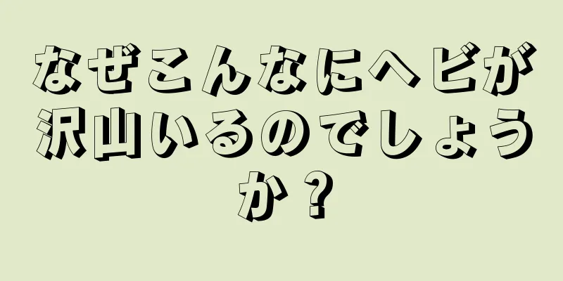 なぜこんなにヘビが沢山いるのでしょうか？
