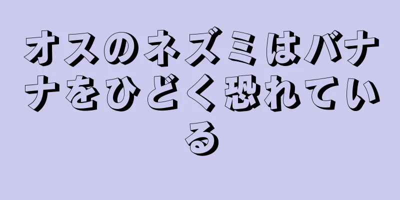 オスのネズミはバナナをひどく恐れている