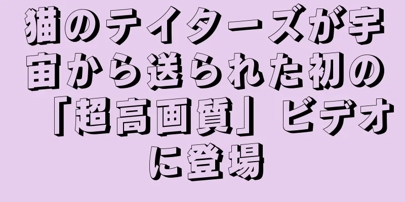 猫のテイターズが宇宙から送られた初の「超高画質」ビデオに登場