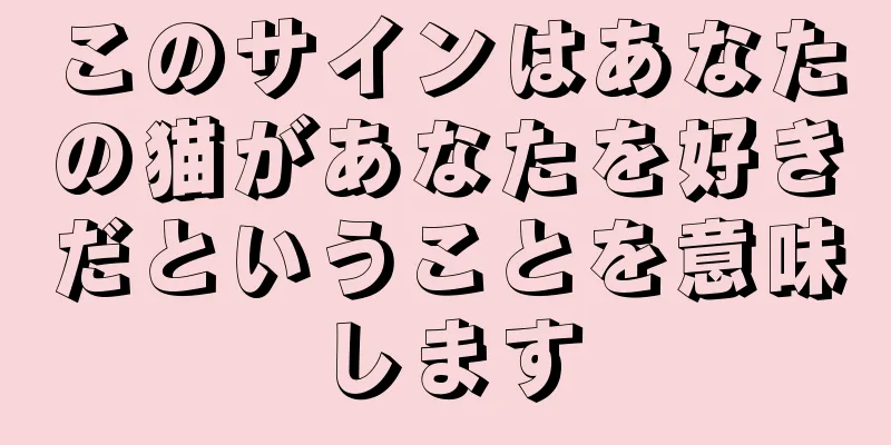 このサインはあなたの猫があなたを好きだということを意味します