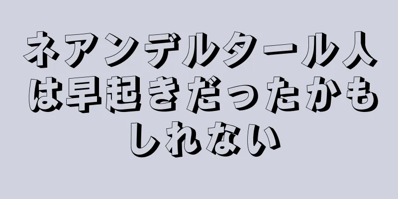 ネアンデルタール人は早起きだったかもしれない
