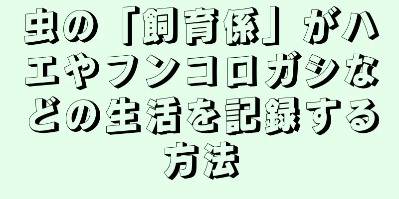 虫の「飼育係」がハエやフンコロガシなどの生活を記録する方法