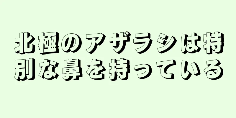 北極のアザラシは特別な鼻を持っている