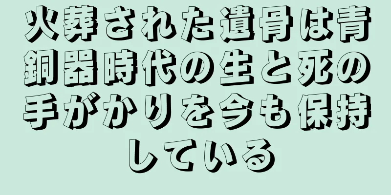 火葬された遺骨は青銅器時代の生と死の手がかりを今も保持している