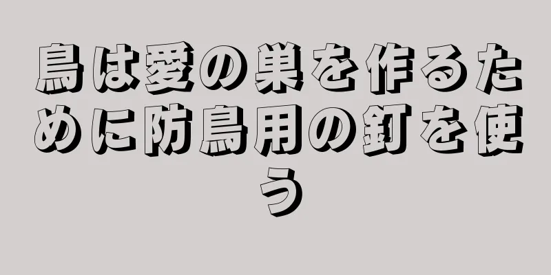 鳥は愛の巣を作るために防鳥用の釘を使う