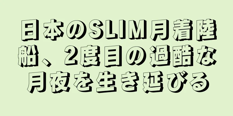 日本のSLIM月着陸船、2度目の過酷な月夜を生き延びる