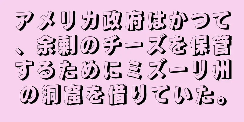 アメリカ政府はかつて、余剰のチーズを保管するためにミズーリ州の洞窟を借りていた。