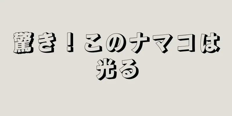 驚き！このナマコは光る