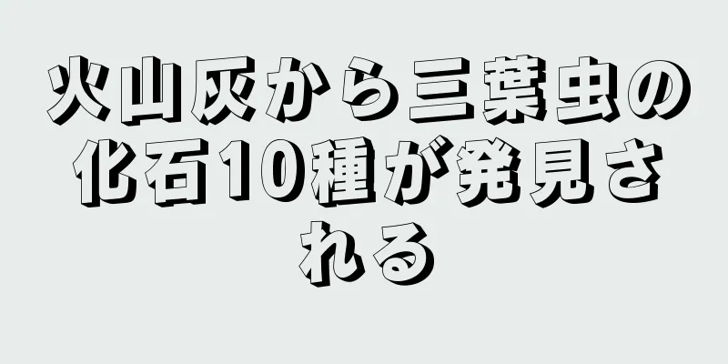 火山灰から三葉虫の化石10種が発見される