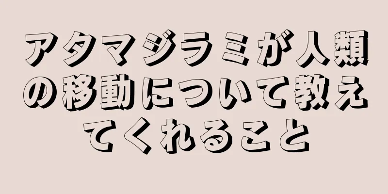 アタマジラミが人類の移動について教えてくれること