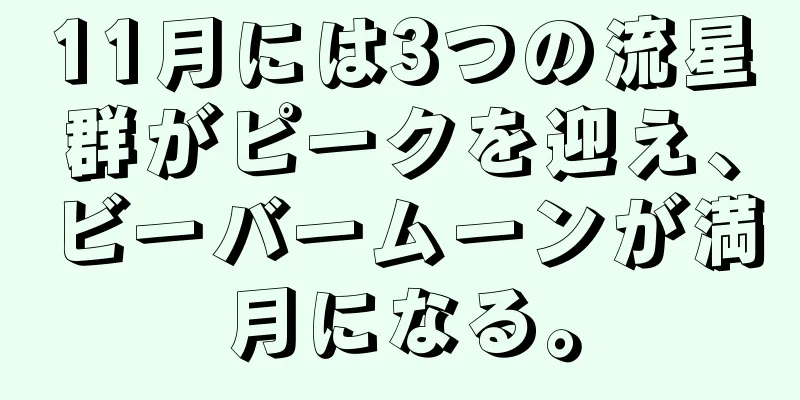 11月には3つの流星群がピークを迎え、ビーバームーンが満月になる。