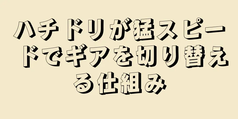 ハチドリが猛スピードでギアを切り替える仕組み